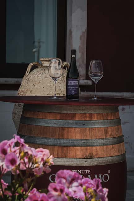 Tenute Girolamo: Winery tour and Premium Tasting in the Itria Valley - Four wines with Apulian food