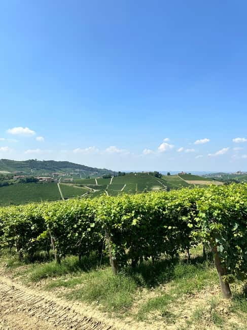 The Best of the Langhe: Wine Tasting & Traditional Meal - Key things to know before you book