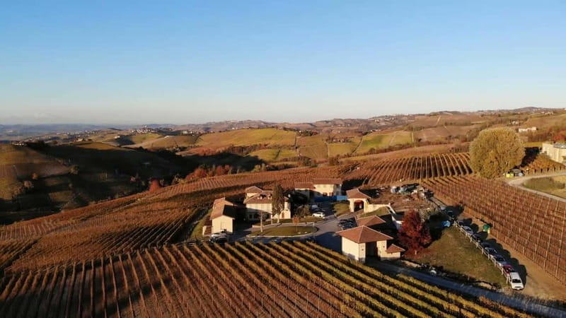 The Best of the Langhe: Wine Tasting & Traditional Meal - Walking through Podere Gagliassi vineyards
