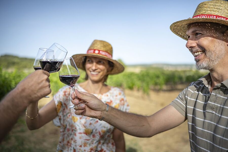 The Châteaux of Grès de Montpellier & Wine Tasting - How much wine do you actually taste?