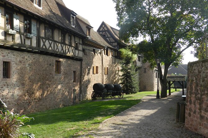 The Emblematic: visit of villages, Haut-Koenigsbourg, Wine tasting - The Alsace Wine Route and a family cellar