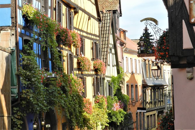 The Emblematic: visit of villages, Haut-Koenigsbourg, Wine tasting - What the $199.12 price covers