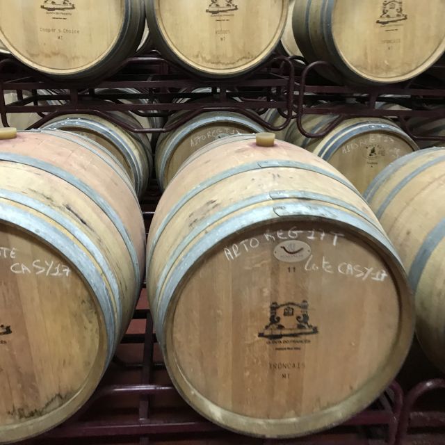 The Real Algarve: 2 Boutique Wineries & Silves Tour - First stop in Lagoa: wine with a local welcome