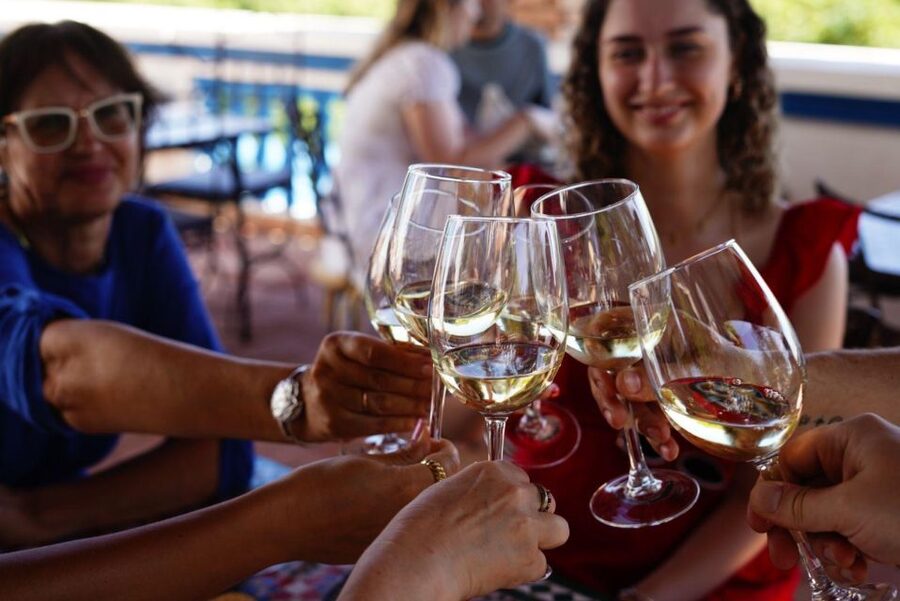 The Real Algarve: 2 Boutique Wineries & Silves Tour - The price: good value with a few extra costs