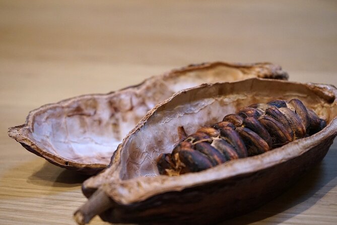 The Turin Chocolate & Wine Tasting Experience - The chocolate workshop: six tastes, two traditions