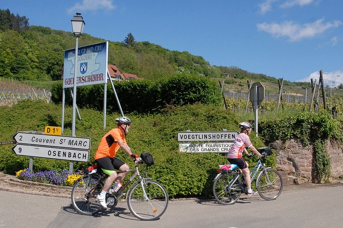 Through Alsace Vineyards and Wine Villages Private Bike Tour - The Grand Cru vineyards between the villages
