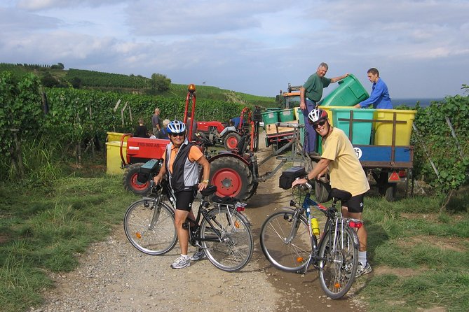 Through Alsace Vineyards and Wine Villages Private Bike Tour - Voegtlinshoffen and the closing wine tasting