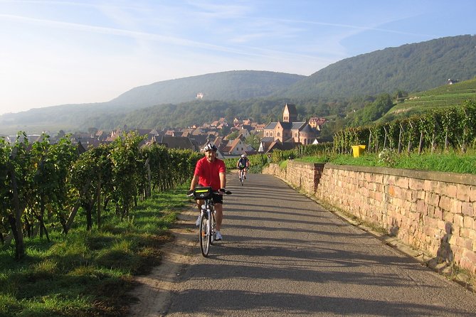 Through Alsace Vineyards and Wine Villages Private Bike Tour - What the guide adds to the ride