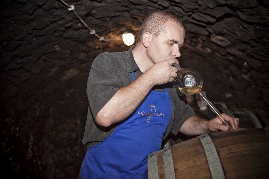 Tokaj: Classic Wine Tasting - Should you book Hímesudvar’s classic wine tasting?