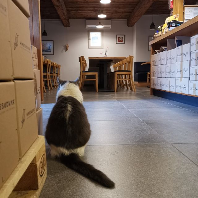Tokaj: Classic Wine Tasting - Cheese, bread, olives, and a better tasting pace