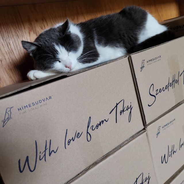 Tokaj: Classic Wine Tasting - What the family-owned format adds