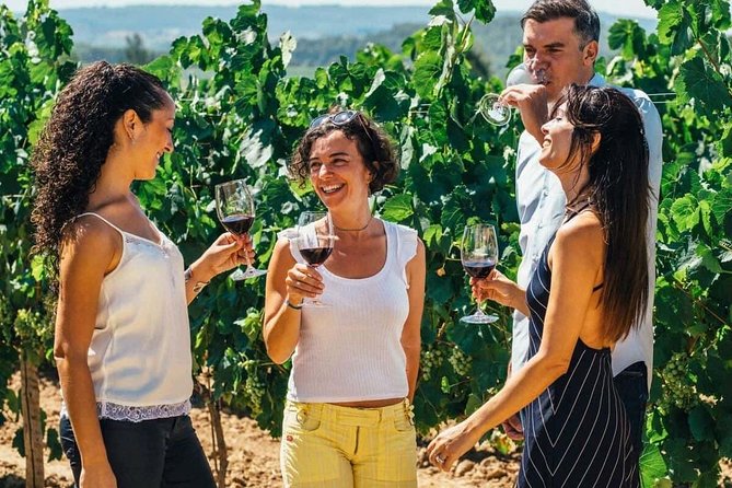 Toledo Tour & Vineyard Walk with Wine Tasting from Madrid - Toledo’s Jewish Quarter and old town