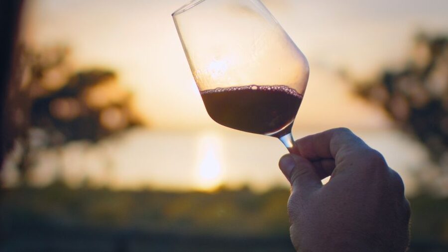 Torrevieja: Local Wine and Food Tasting Tour in La Mata Park - Key points before you book