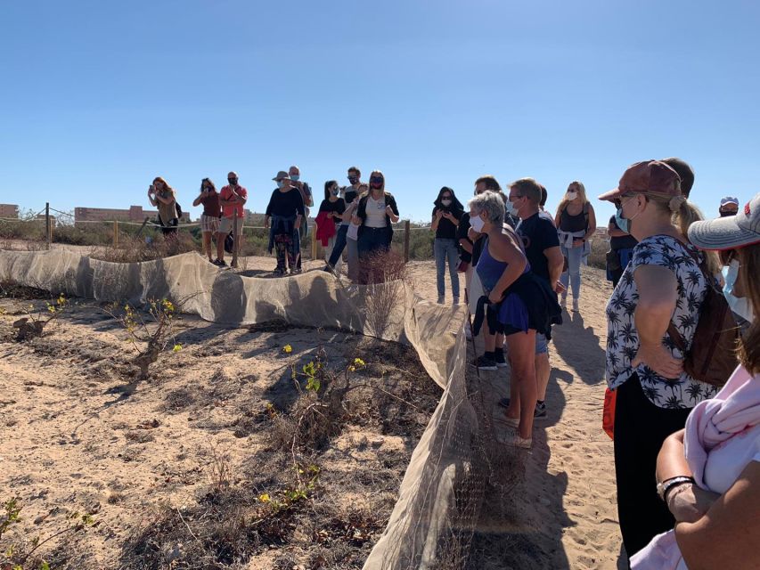 Torrevieja: Local Wine and Food Tasting Tour in La Mata Park - Lagoon views and flamingo spotting