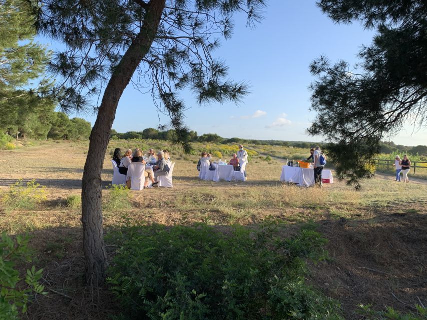 Torrevieja: Local Wine and Food Tasting Tour in La Mata Park - The real value of the $45 price