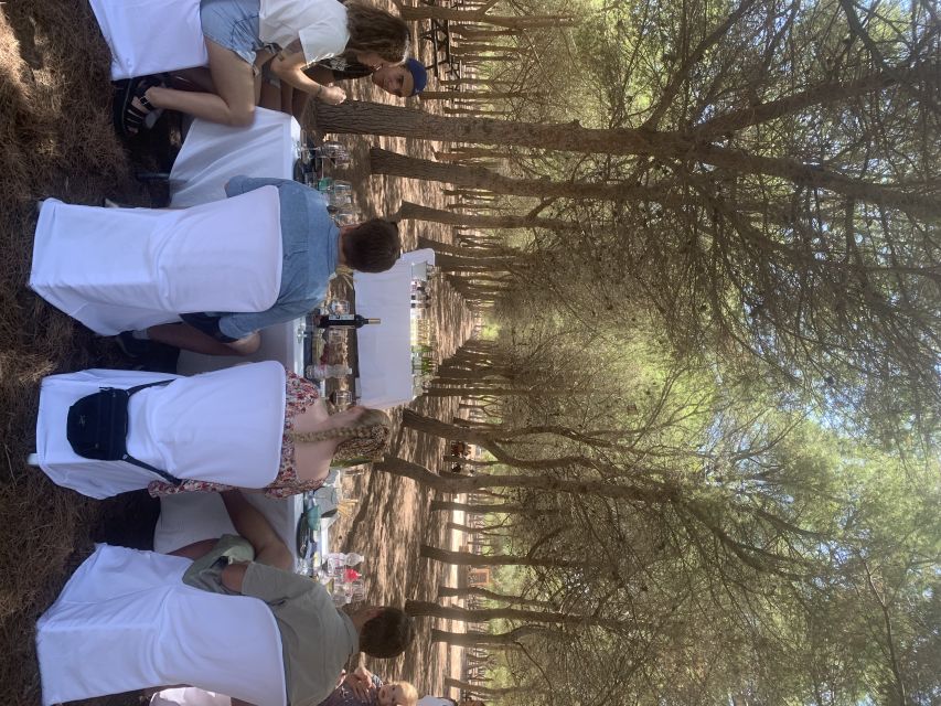 Torrevieja: Local Wine and Food Tasting Tour in La Mata Park - The 15th-century structure and the park’s past