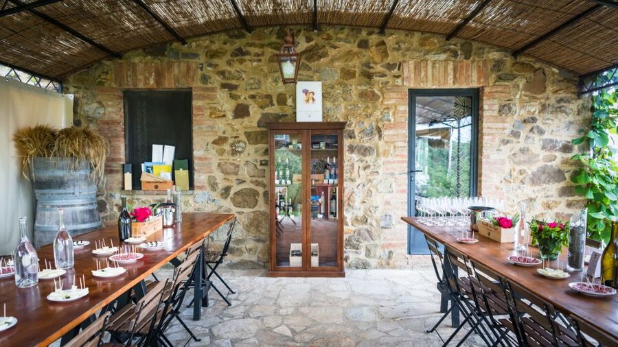 Total Immersion Wine Tour in Chianti - Inside the cellar, from harvest to aging