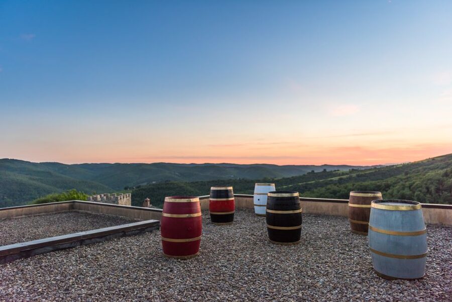 Total Immersion Wine Tour in Chianti - A short lesson in tasting wine properly