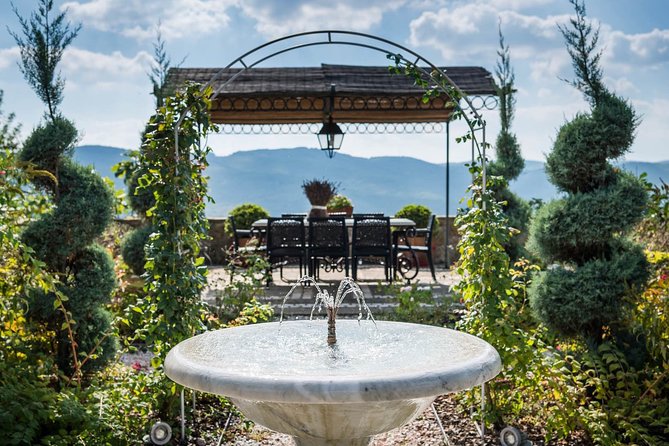 Tour and Tasting at an Organic Winery in the Heart of Chianti Classico Area - Five Wines, Plus a Tuscan Table