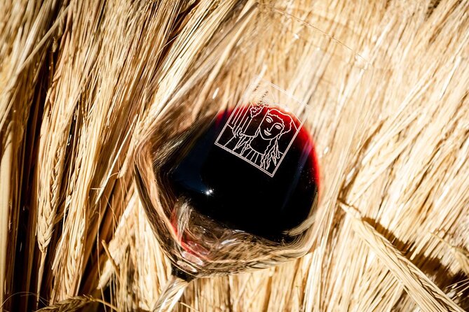 Tour and Tasting at an Organic Winery in the Heart of Chianti Classico Area - Is the $48.36 Price Good Value?