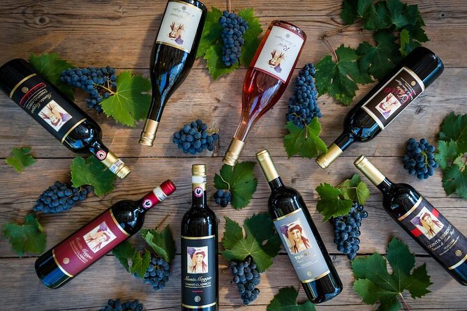 Tour and Tasting at an Organic Winery in the Heart of Chianti Classico Area - Who Should Book This Experience?