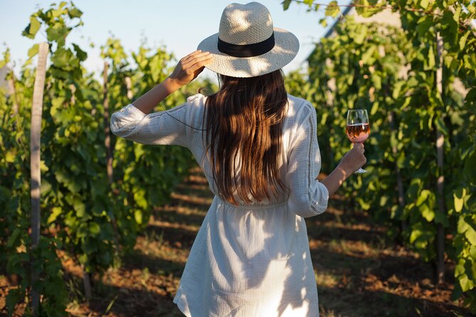 Tour Etna & Wine Tasting - Key points before you book