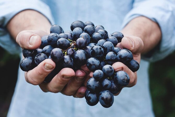 Tour Etna & Wine Tasting - The morning drive from Taormina to Piano Provenzana