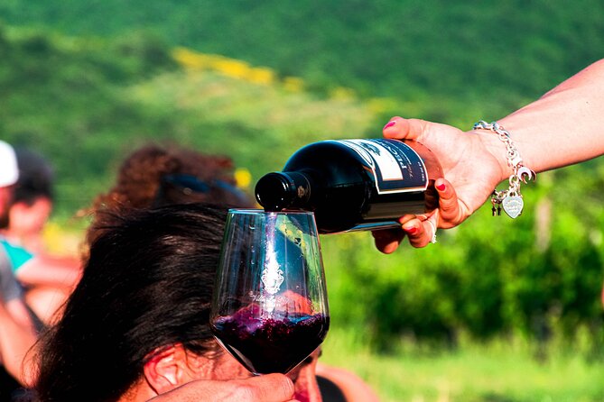 Tour through the vineyards and wine and olive oil tasting in Tuscany - Arriving at Villa La Ripa near Arezzo