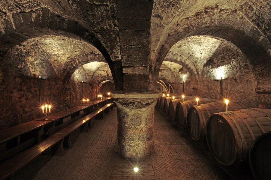 Trier: Discovery Tour – Germany's Oldest Wine Cellar - Key points at a glance