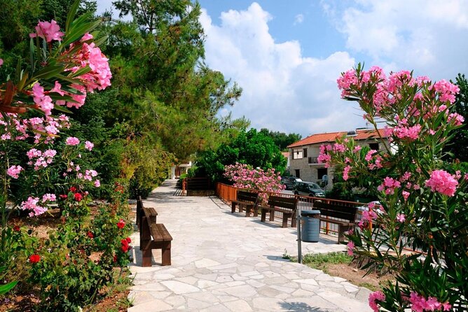 Troodos Mountains Grape Escape: All Inclusive Food & Wine Tour - Key points to know before booking