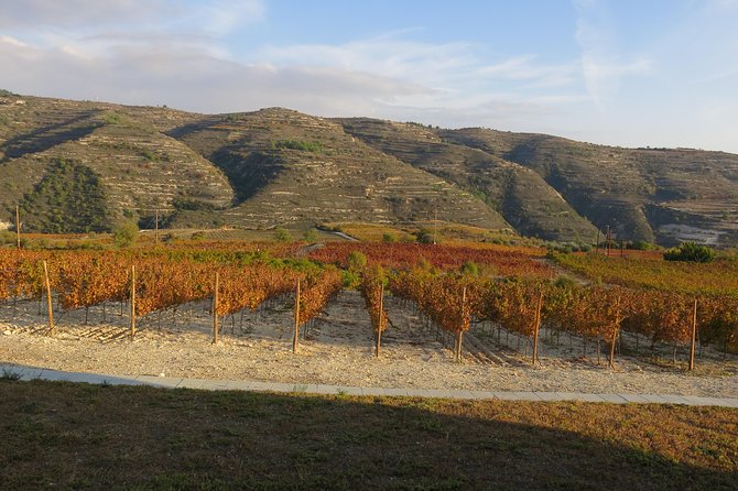 Troodos Mountains Grape Escape: All Inclusive Food & Wine Tour - The surprise bonus stop