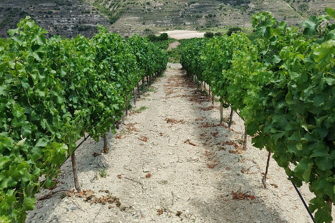 Troodos Mountains Grape Escape: All Inclusive Food & Wine Tour - What the $141.77 price really covers
