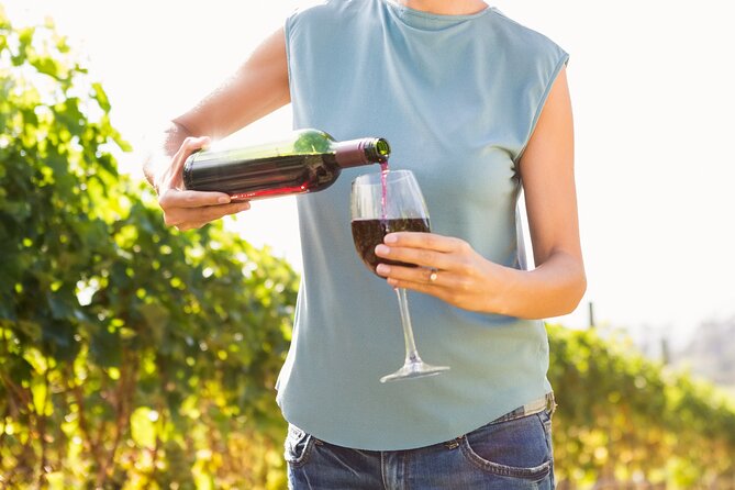 Troodos Mountains Vino Venture: All Inclusive Full Day Wine Tour - Key points to know before you book