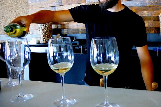 Troodos Mountains Vino Venture: All Inclusive Full Day Wine Tour - Three wineries, three different personalities