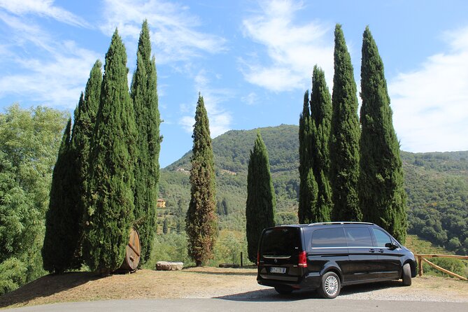 Tuscan Wine Tour in Lucca by van - Key points before you book
