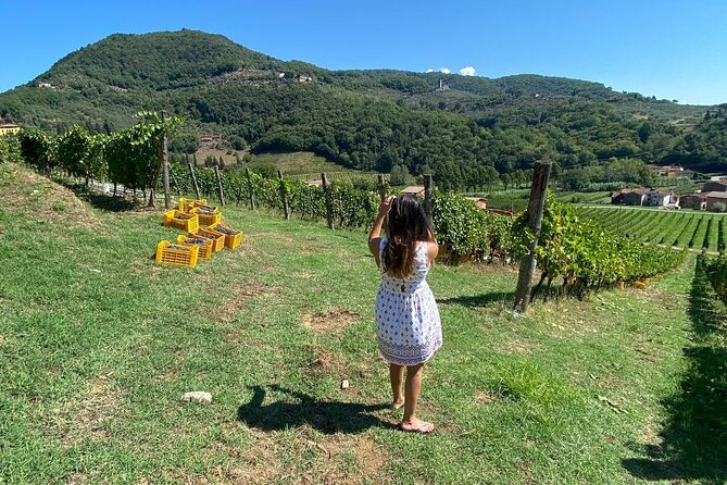 Tuscan Wine Tour in Lucca by van - Practical details that matter