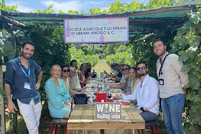 Tuscan Wine Tour in Lucca by van - Should you book the Lucca wine tour?