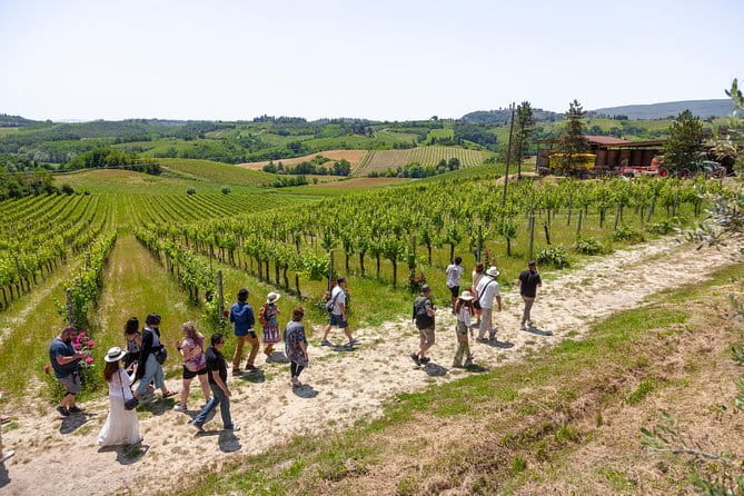 Tuscany Day Trip from Florence: Siena, San Gimignano, Pisa and Lunch at a Winery - Pisa and the Square of Miracles