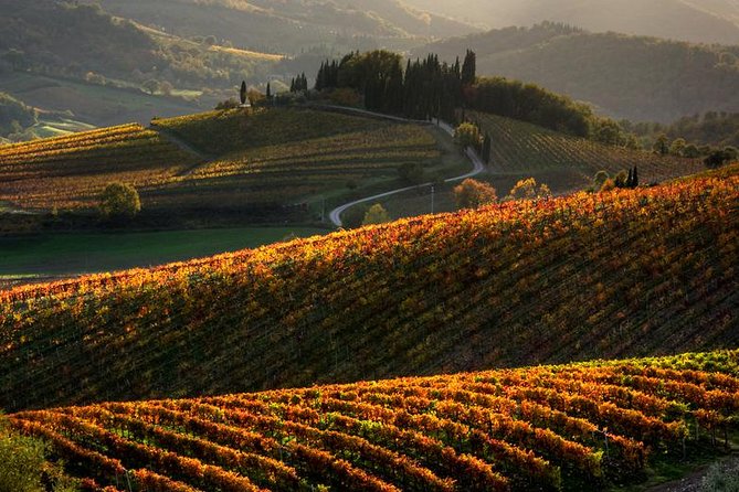 Tuscany Hiking Tour from Siena Including Wine Tasting - Key points at a glance