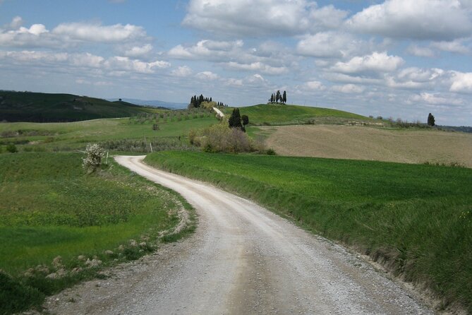 Tuscany Hiking Tour from Siena Including Wine Tasting - Why this Siena hike feels different