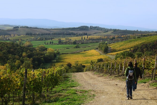 Tuscany Hiking Tour from Siena Including Wine Tasting - Arriving at Monteriggioni, the medieval finish