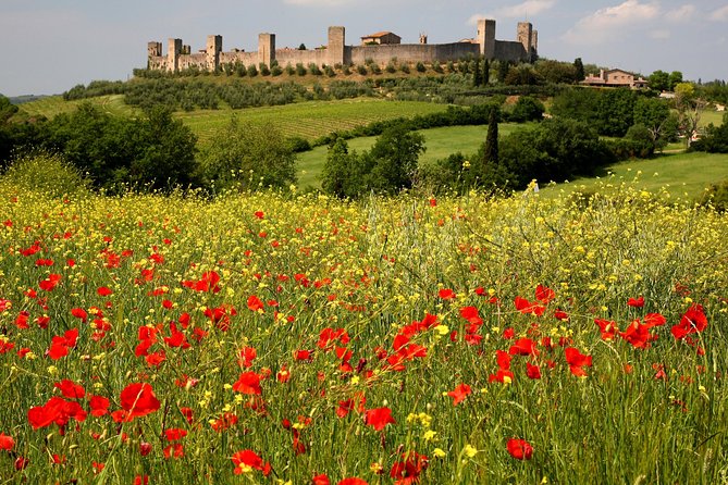 Tuscany Hiking Tour from Siena Including Wine Tasting - The wine tasting at Cantinetta di Monteriggioni