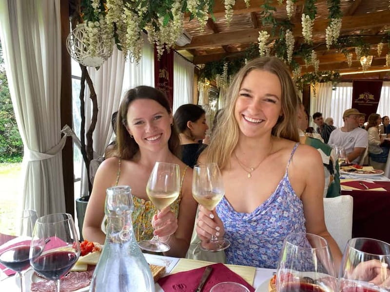 Tuscany Wine Tour : 2 Wineries & San Gimignano from Florence - Should you book the Florence to Tuscany wine tour?