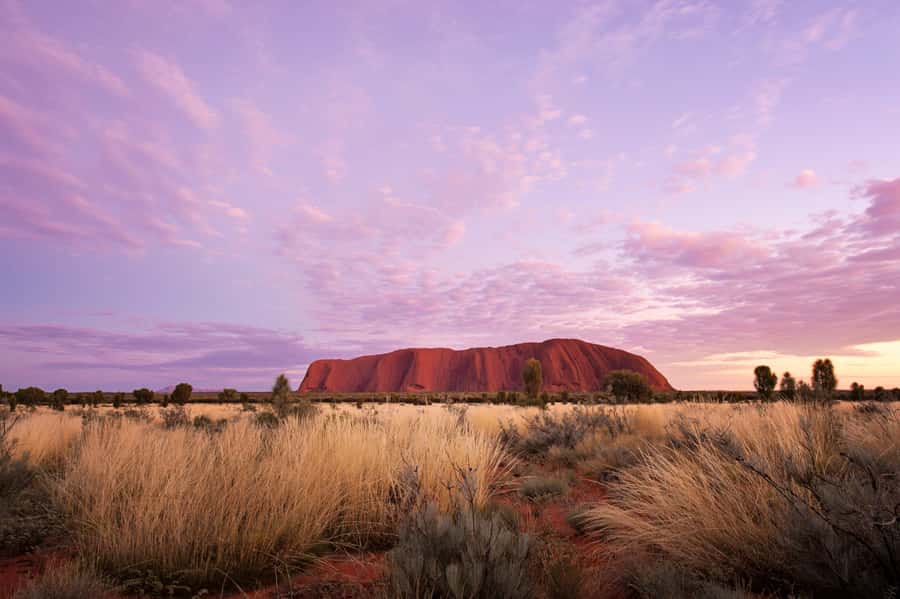 Uluru: Sacred Sites & Sunset Tour with Wine & Cheeseboard - The Cultural Centre adds the human story