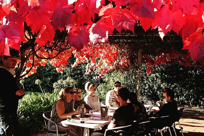 Valleys of Vino Full Day Tour - Key points to know before booking