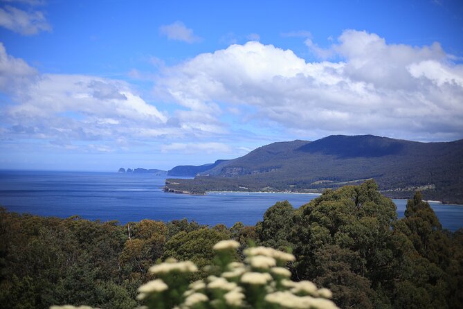 Valleys of Vino Full Day Tour - Tea Tree Valley and Pressing Matters