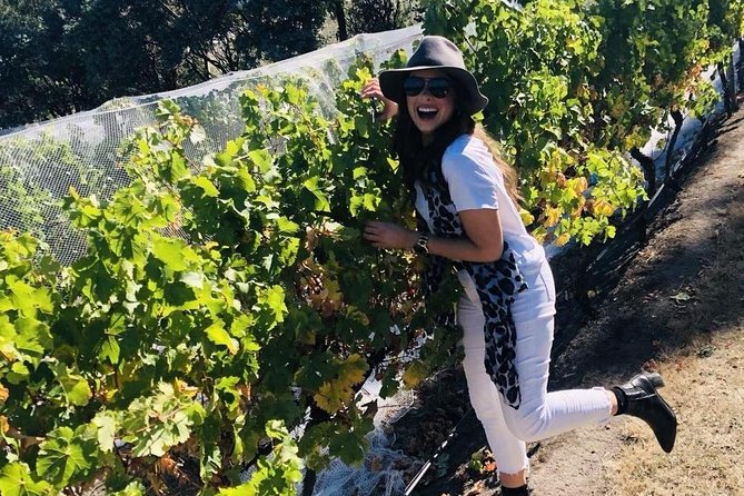Valleys of Vino Full Day Tour - Coal Valley Vineyard and a second wine region