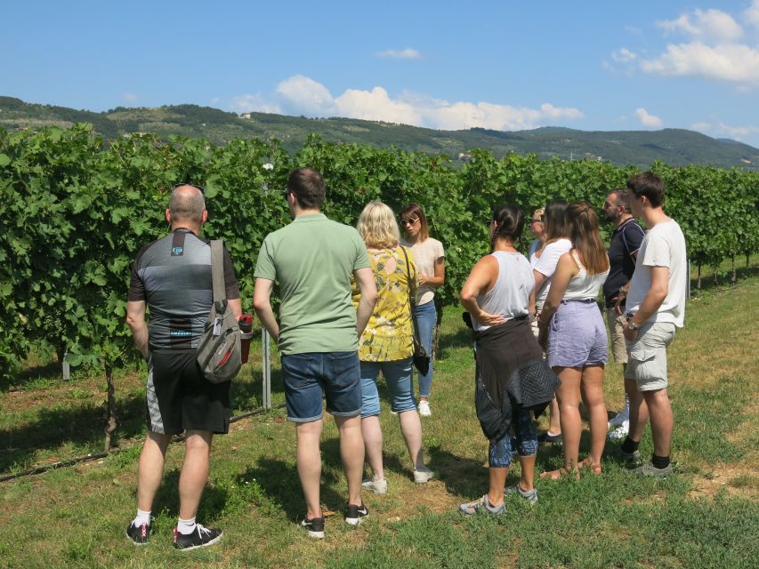 Verona: Valpolicella Wine Self-Guided E-Bike Tour & Tastings - Should You Book the Valpolicella E-Bike Tour?