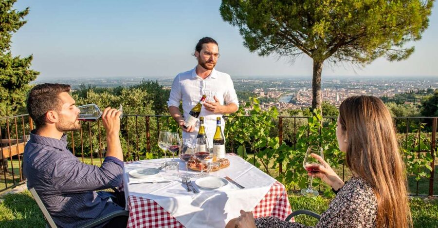 Verona: Wine Tasting with Snacks and Panoramic Views - Five wines that explain Verona’s local style