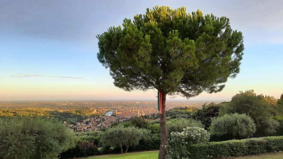 Verona: Wine Tasting with Snacks and Panoramic Views - Cold cuts and cheeses that make it feel like lunch